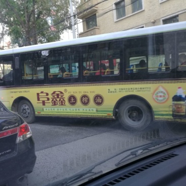 压榨菜籽油四级