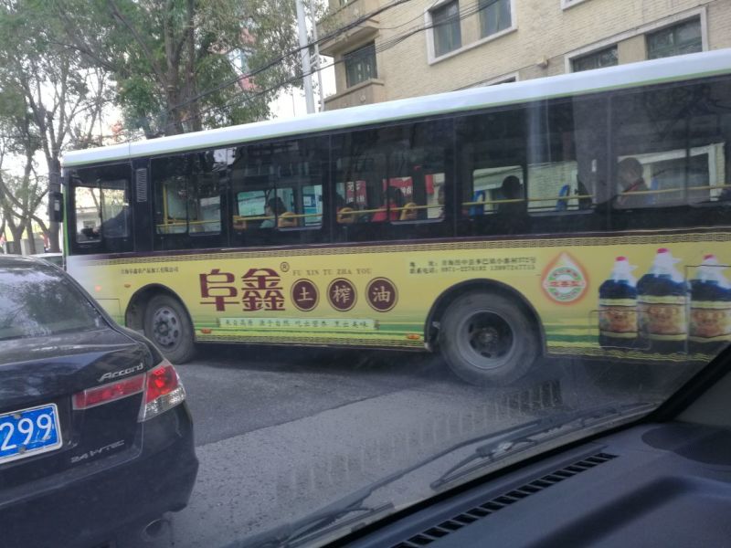 压榨菜籽油四级