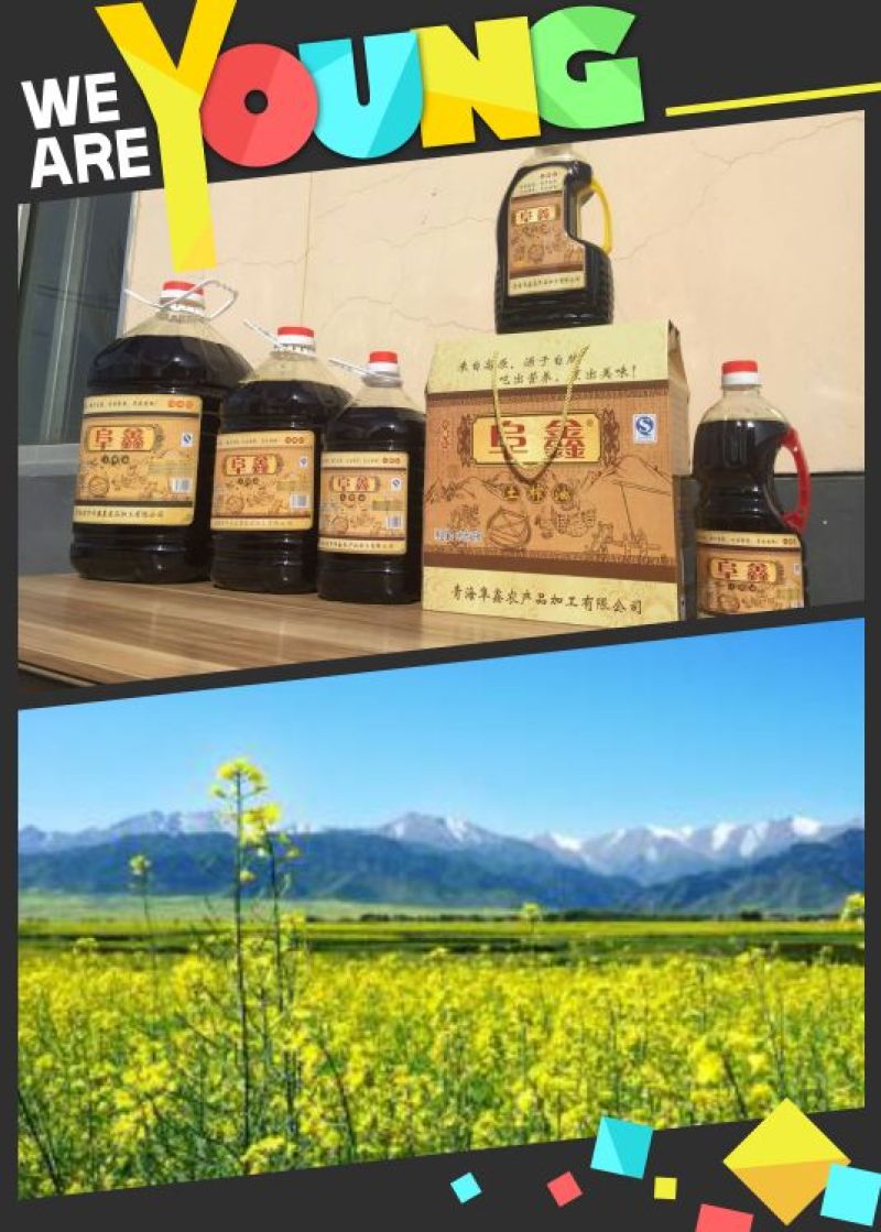 压榨菜籽油四级