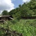 百花蜜1斤