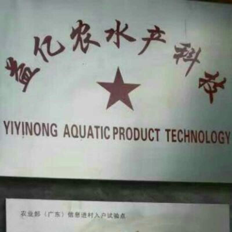鲶鱼苗，本公司专业技术指导，全国各地都可以空运，汽运。