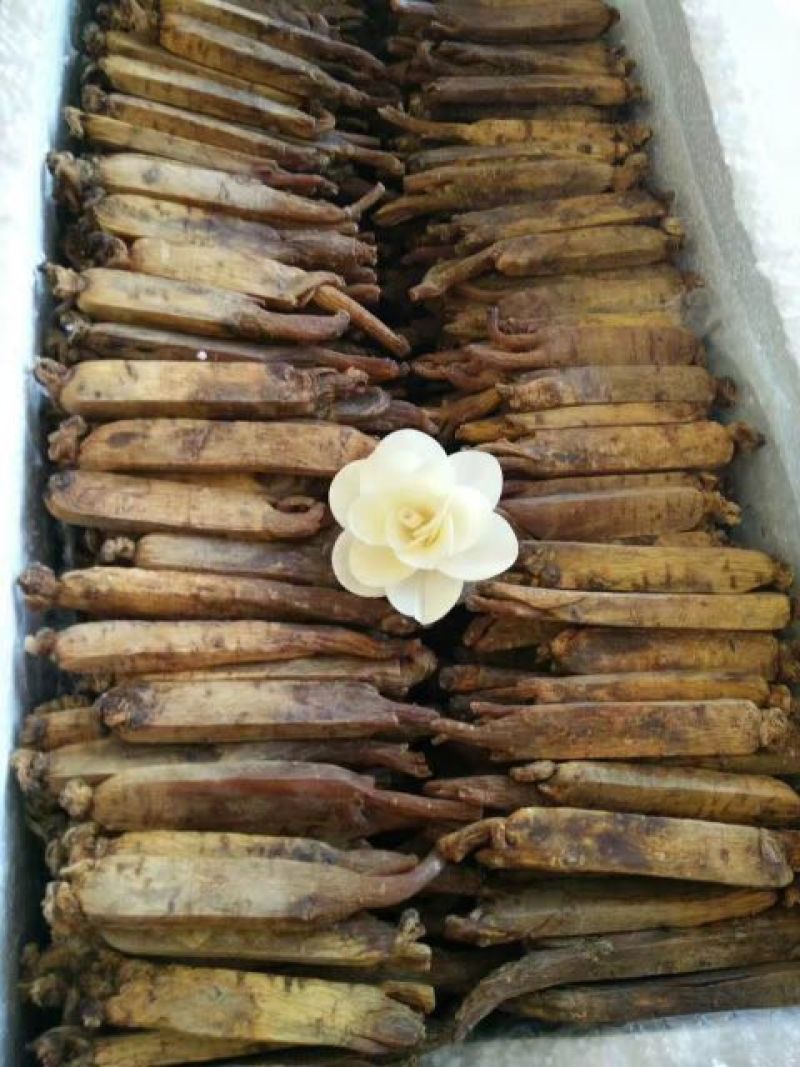 长白山人参高丽参可以免费切片一件包邮欢迎采购