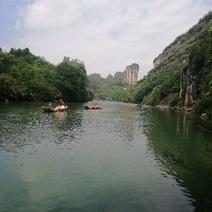 武夷山高山生态茶叶—金牡丹，高级大师制作一级