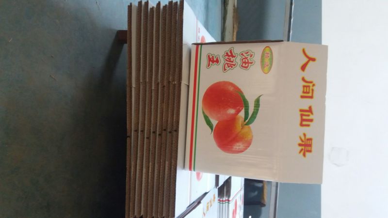 纸箱3号（430*210*270）