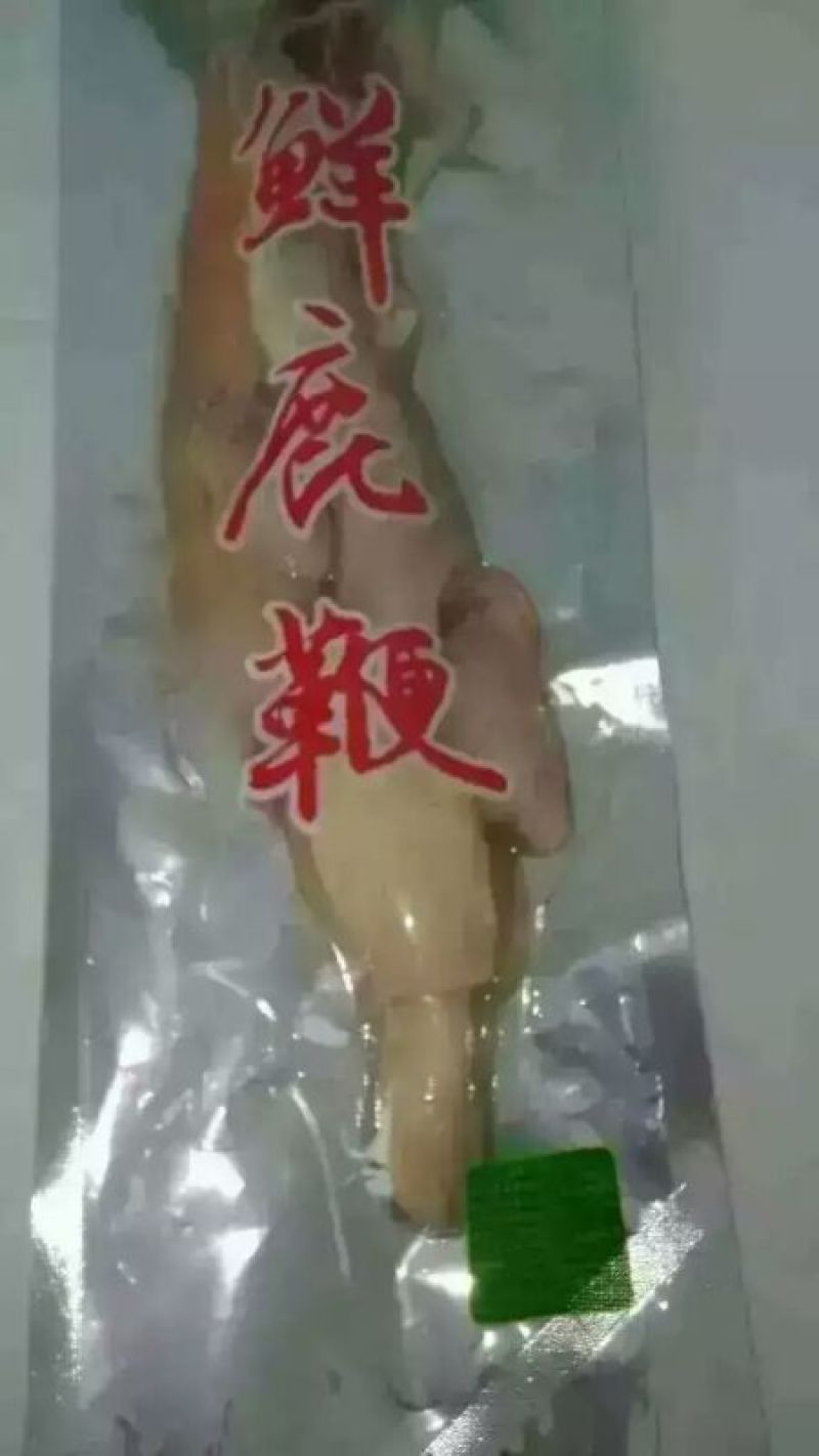 整条鹿鞭梅花鹿鞭干中药材滋补品干品鲜品现货供应