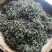 百年大树茶二级