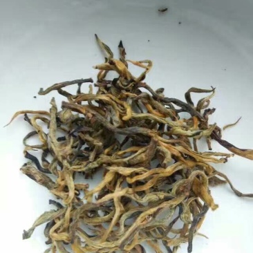 百年大树茶二级