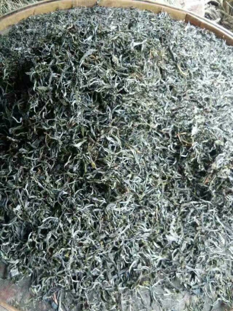 百年大树茶二级