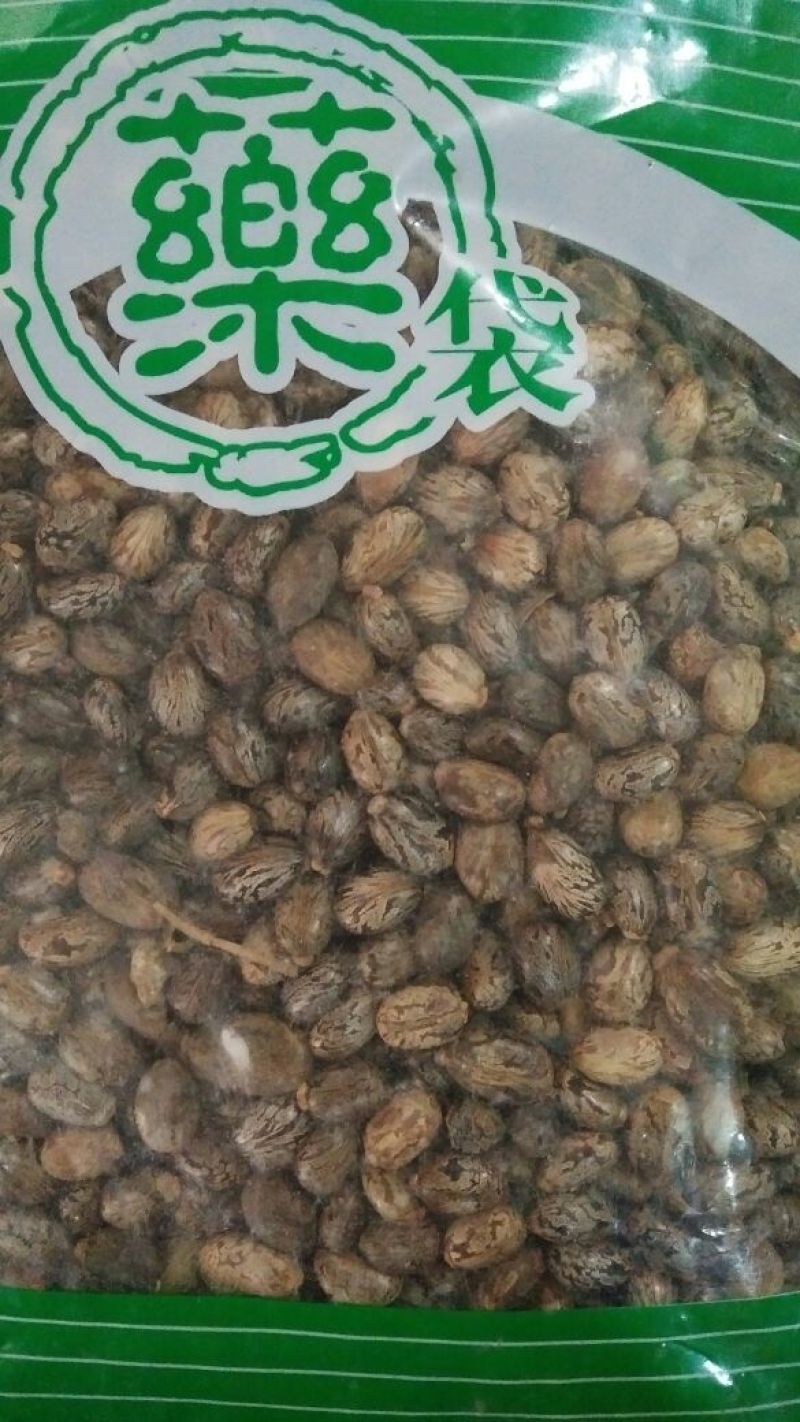 蓖麻子药用蓖麻子红黑蓖麻子籽不是种子