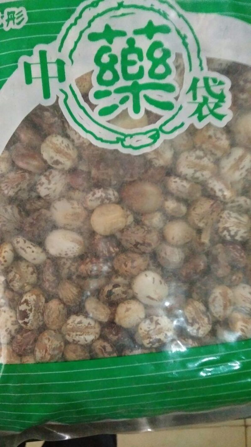 蓖麻子药用蓖麻子红黑蓖麻子籽不是种子