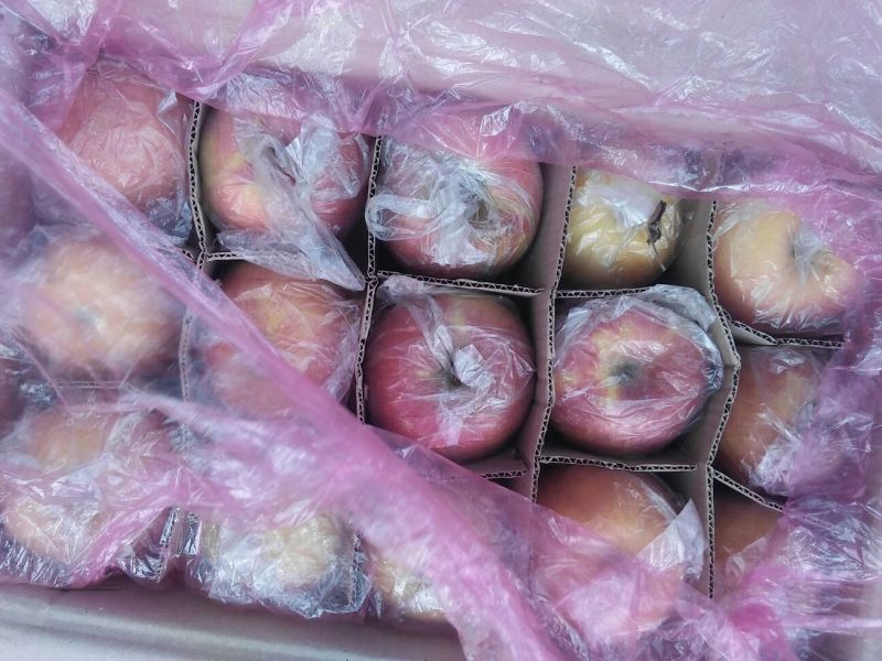 红富士苹果75mm以上膜袋