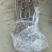 枣树苗沾化冬枣特大枣苗南方北方种植盆栽地栽果树苗当年结果