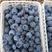 山东蓝莓现摘现发蓝莓鲜果绿宝石珠宝15mm以上大果