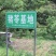 猪苓统个