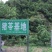 猪苓统个
