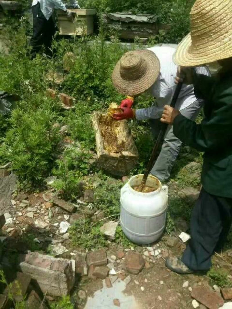 土蜂蜜1斤