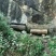 土蜂蜜1斤