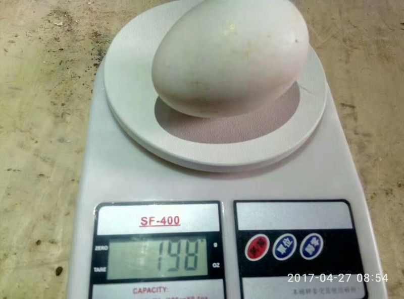 三花鹅苗250g以上