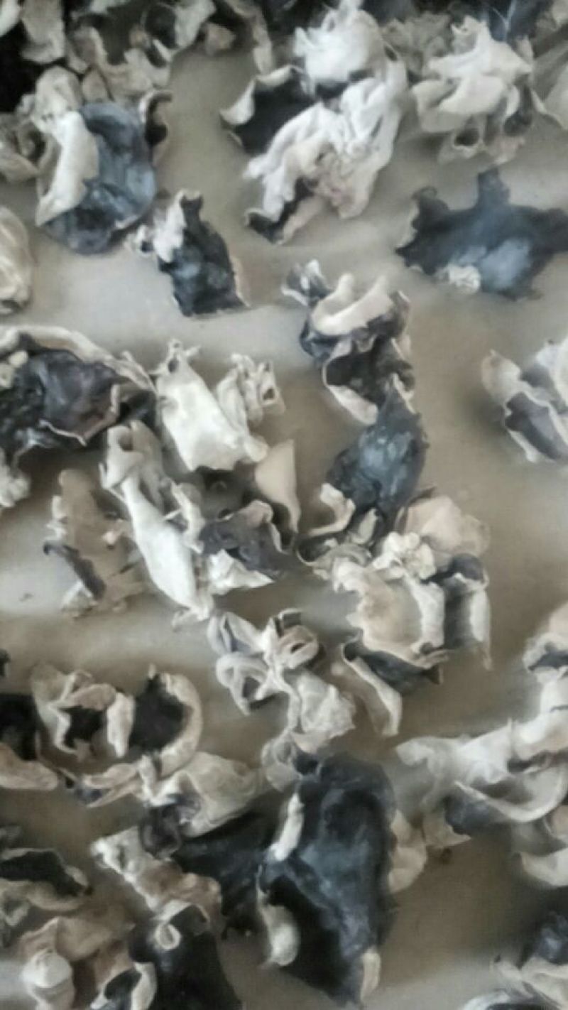 干木耳一级