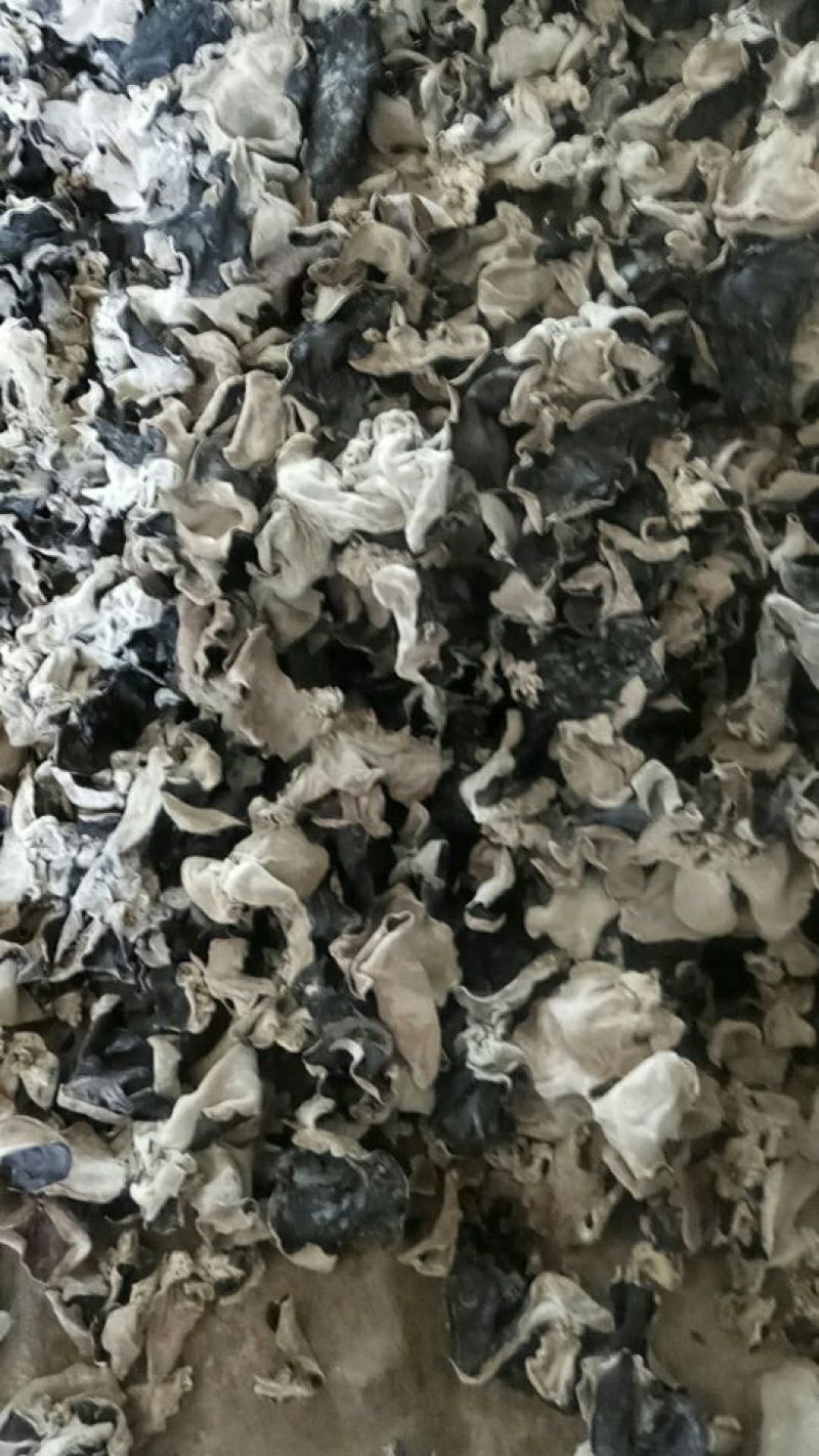 干木耳一级