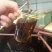 油菜籽贵州安顺本地苦油菜金油菜高芥酸菜籽