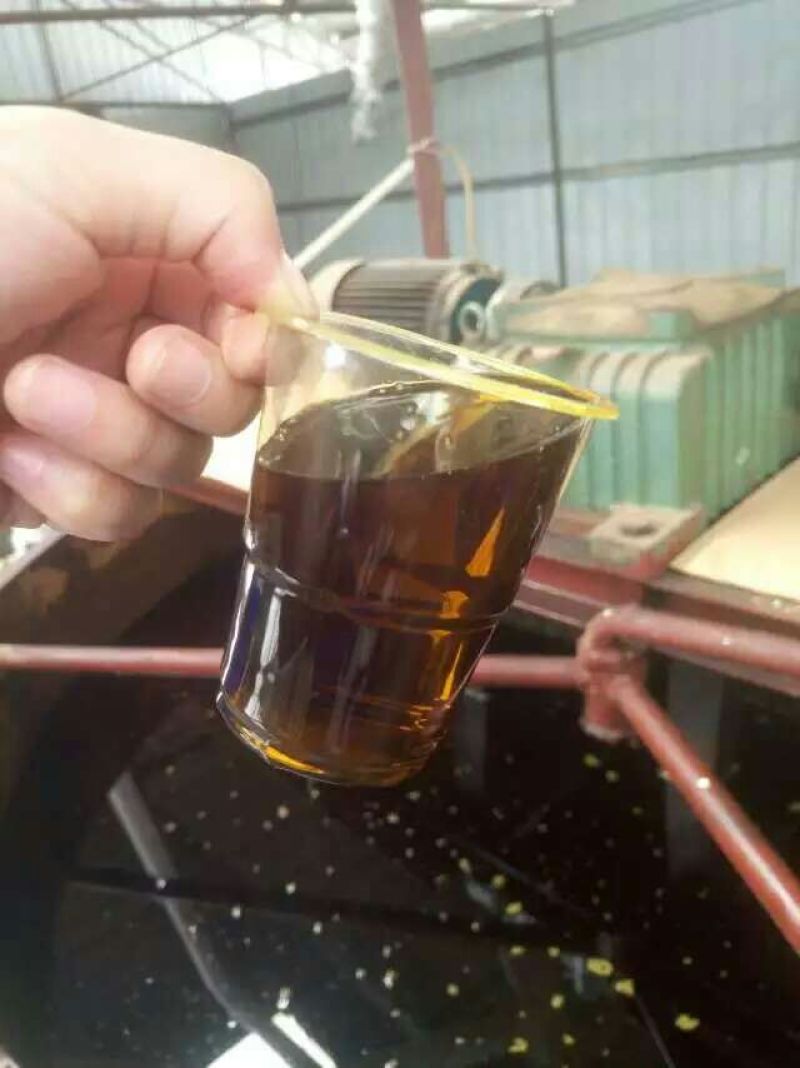 油菜籽贵州安顺本地苦油菜金油菜高芥酸菜籽