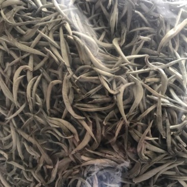 普洱茶