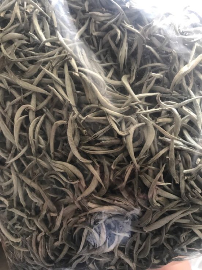 普洱茶