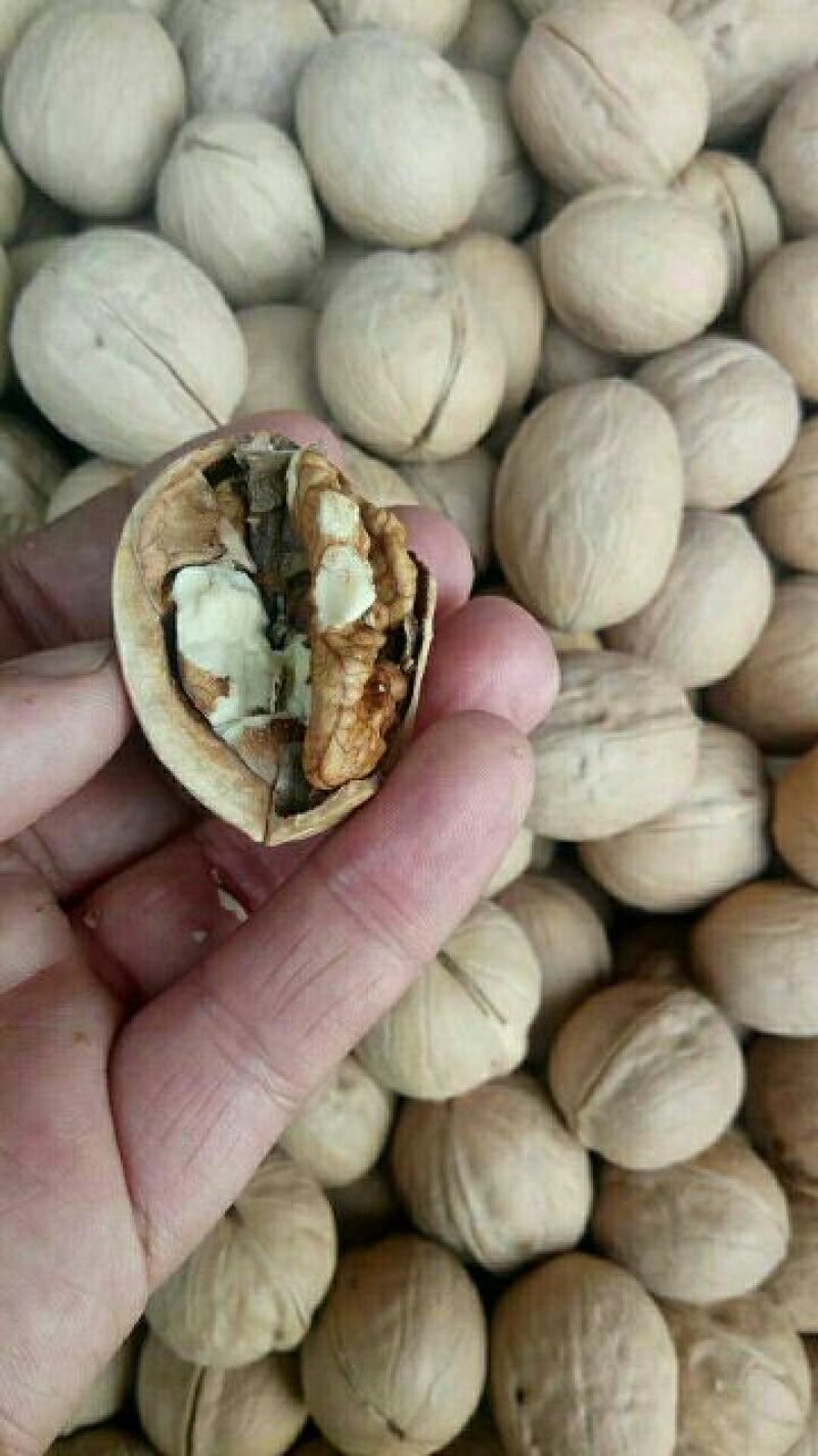 薄皮核桃去皮30mm以上干