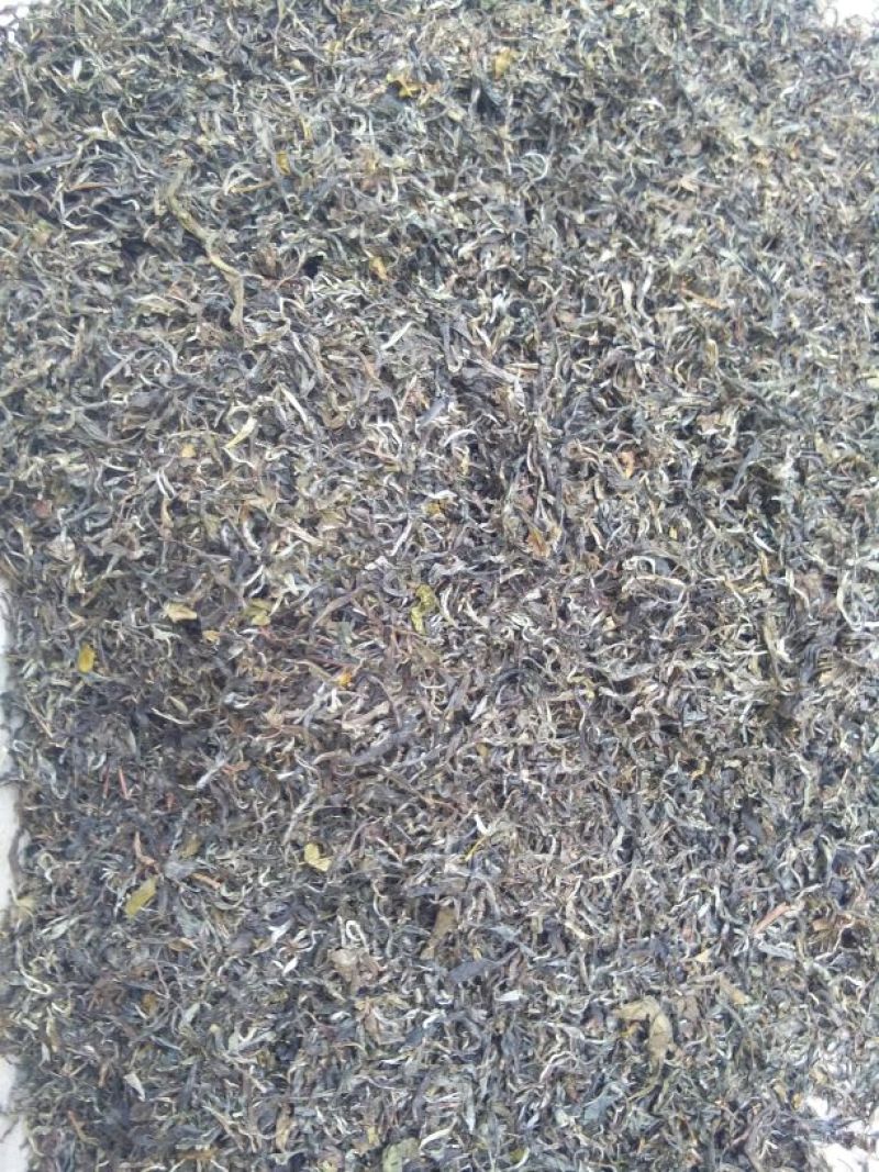 古树普洱茶一级