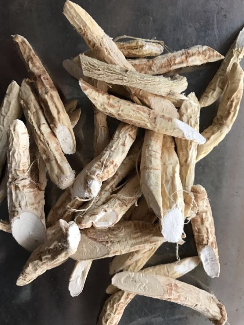 牛大力
