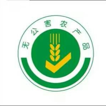 石板大米新米一级