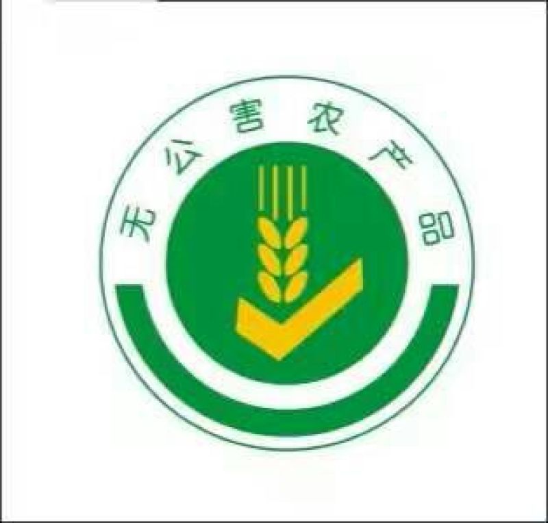 石板大米新米一级