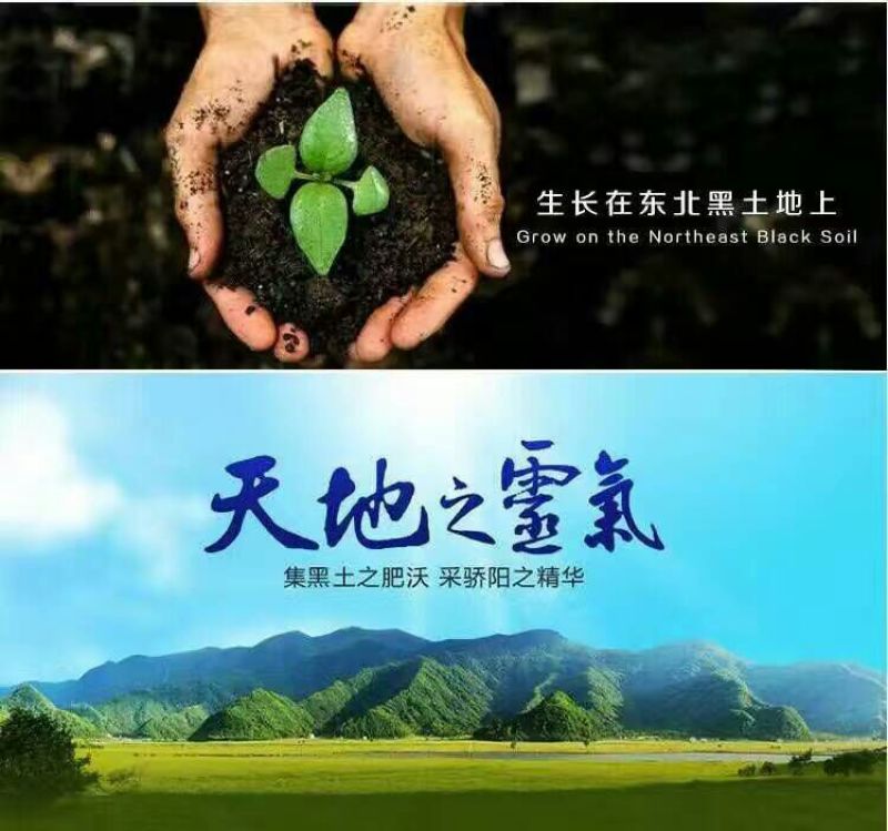 石板大米新米一级