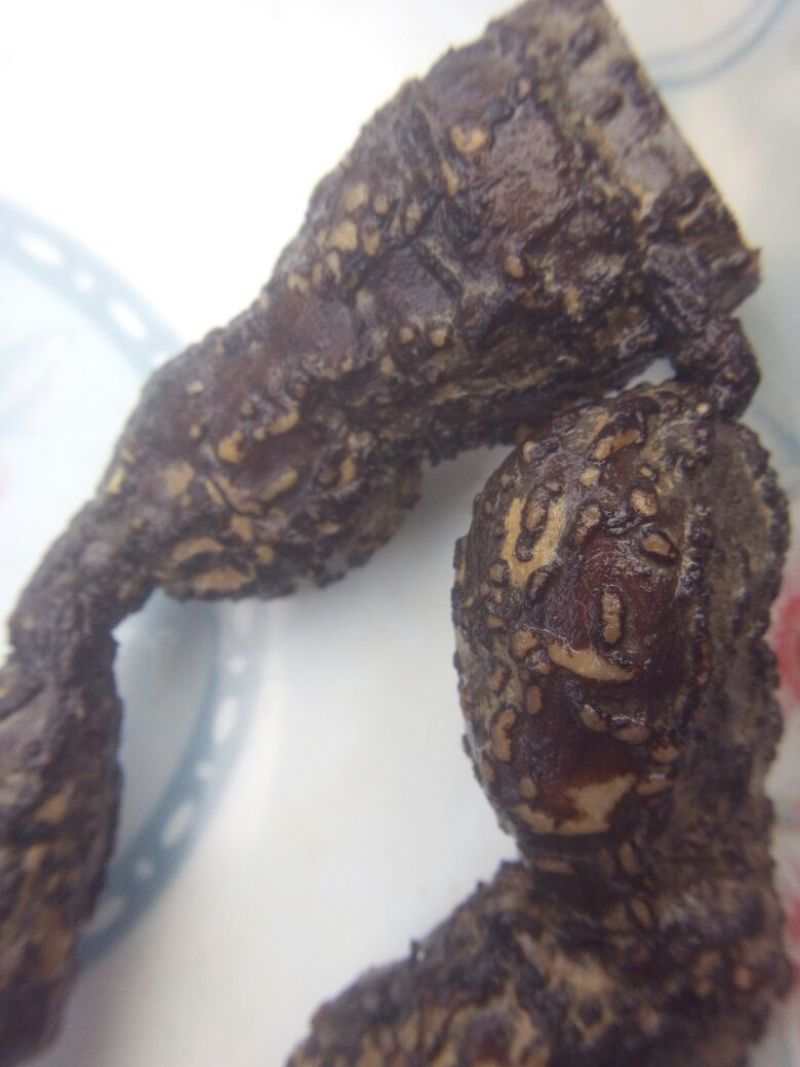 三叶青野生三叶青