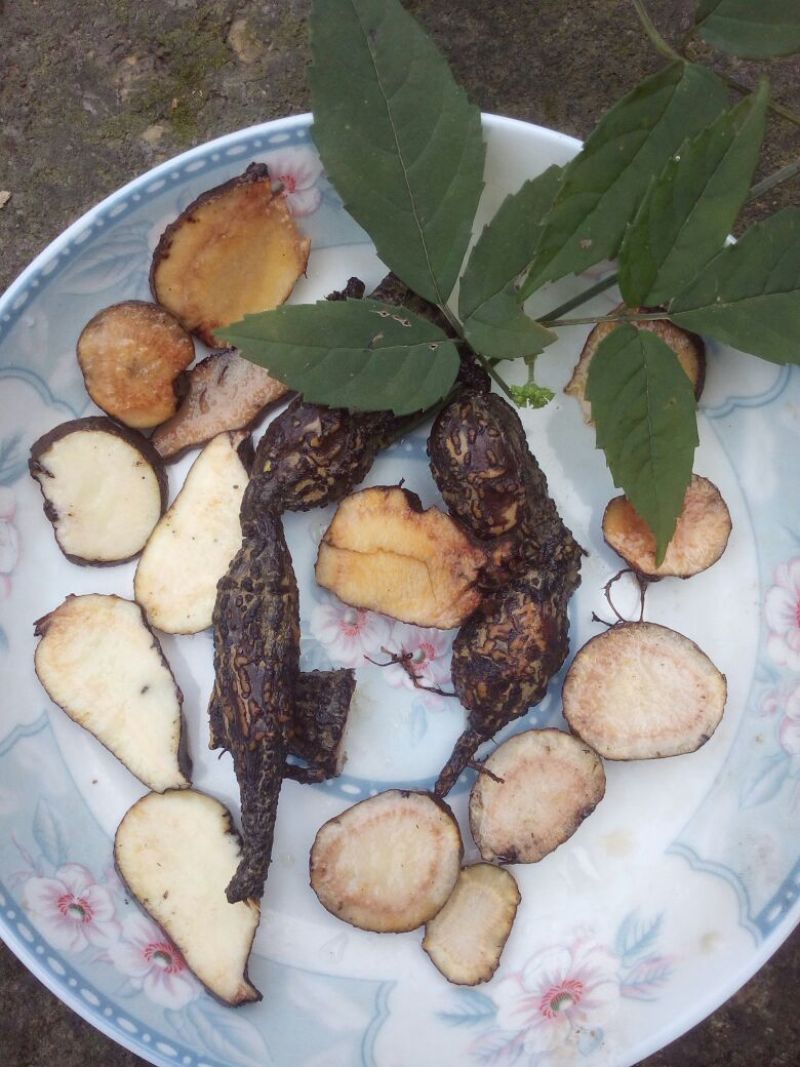 三叶青野生三叶青