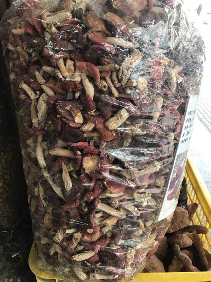 红菇