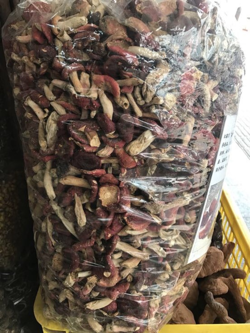 红菇