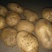 丽薯六号土豆通货3两以上