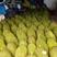 海南三亚黄肉菠萝蜜新鲜采摘四季水果木波罗包邮干包黄心