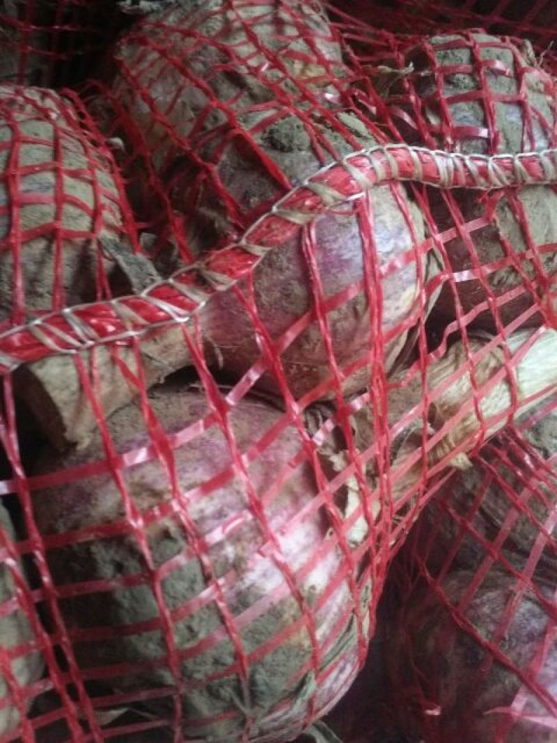 大蒜紫皮蒜混级统货鲜蒜红皮全国发货实惠诚信代发