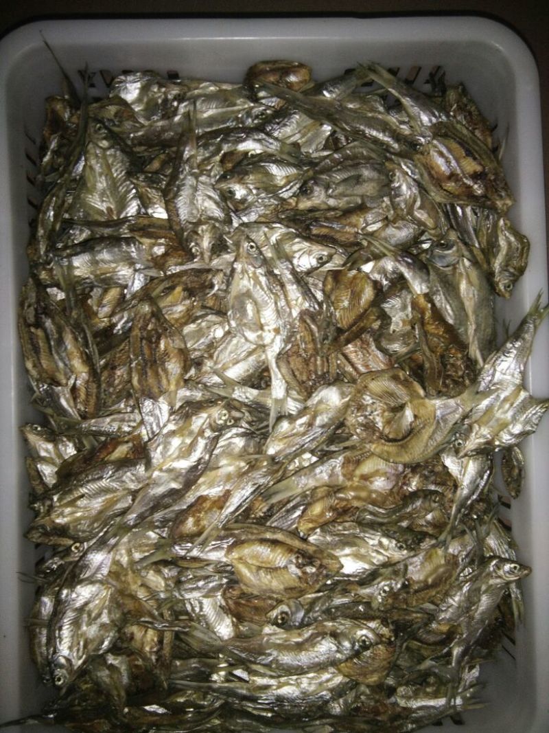 鱼干烤鱼干