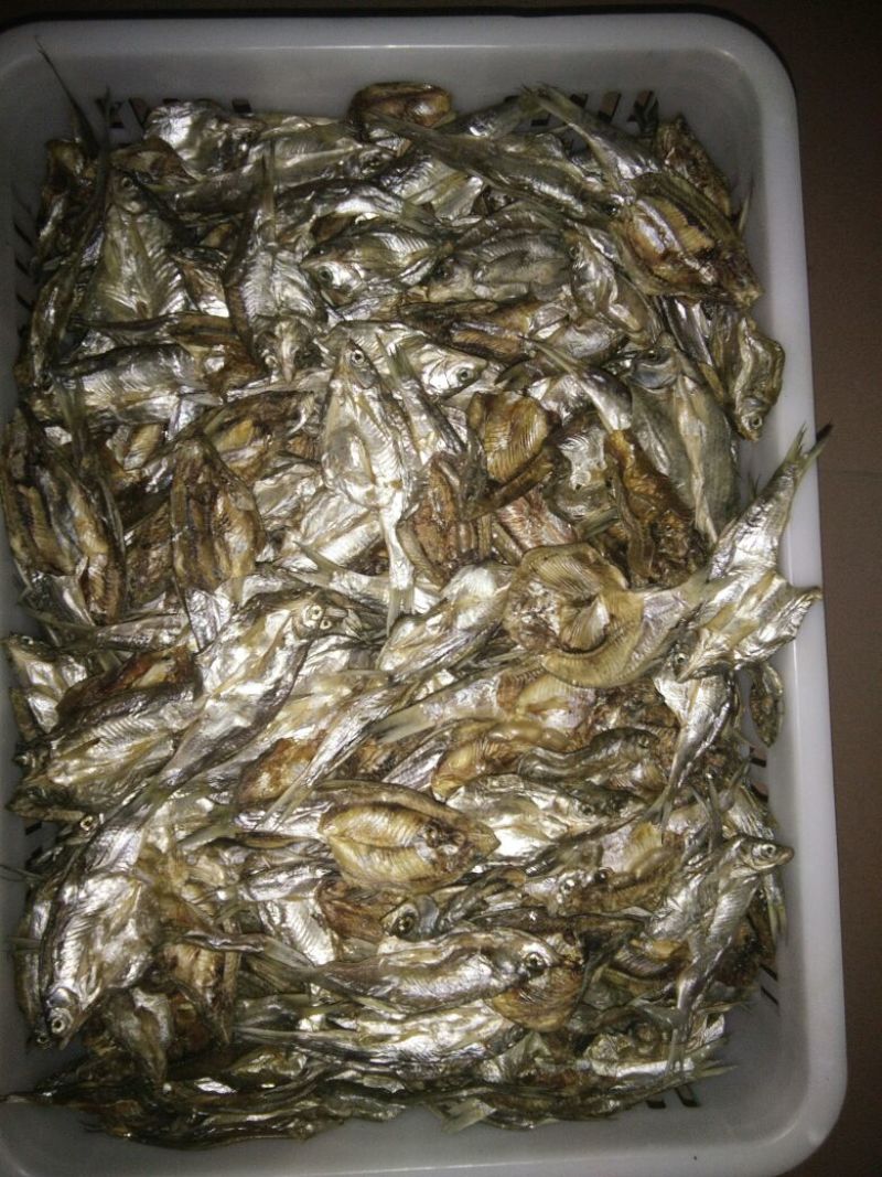 鱼干烤鱼干