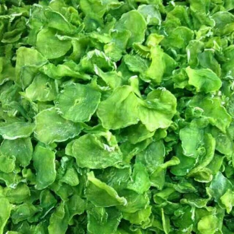 精品莴笋干，脱水莴笋片，莴笋片，脱水蔬菜，莴笋