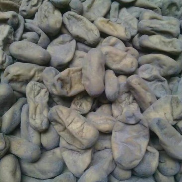 灰豆腐果