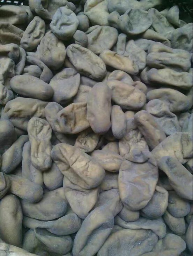 灰豆腐果
