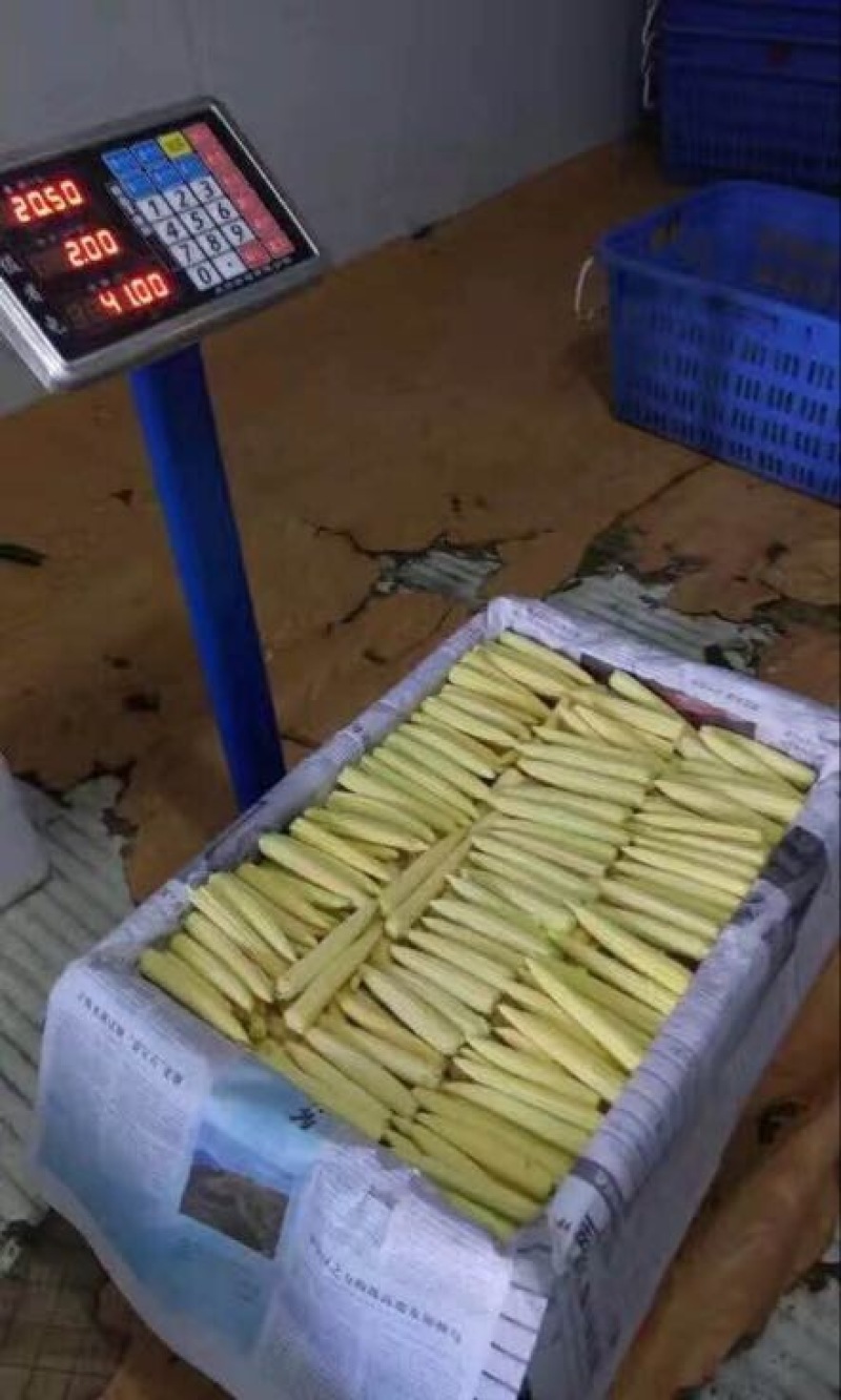 玉米笋