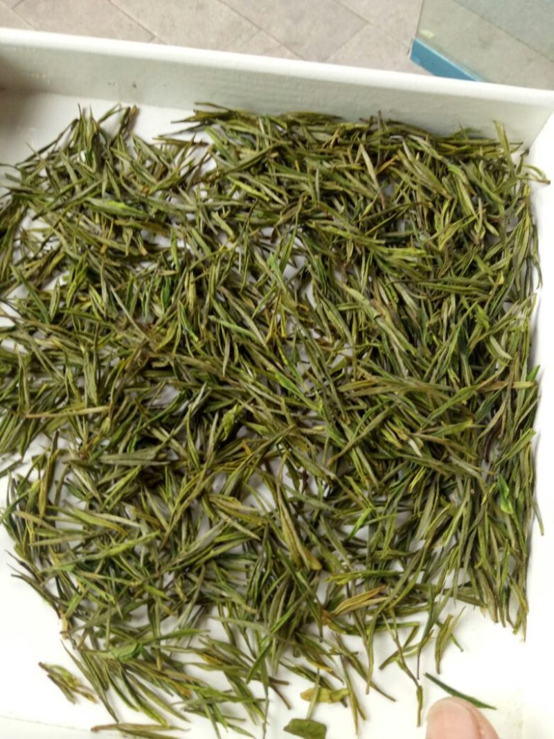 安吉白茶二级