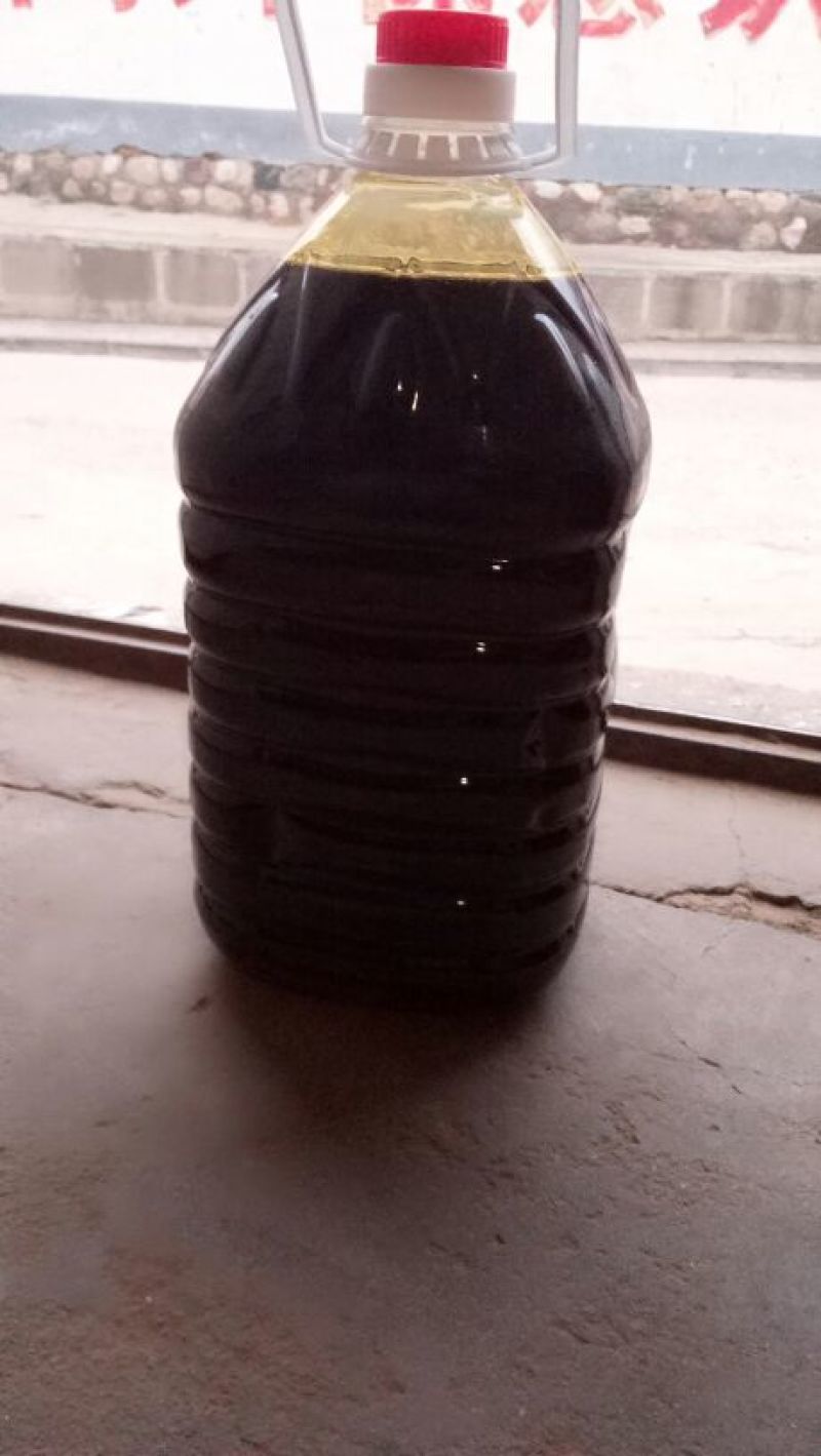 菜籽1