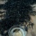 普洱茶特级